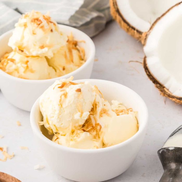 Coconut Ice Cream