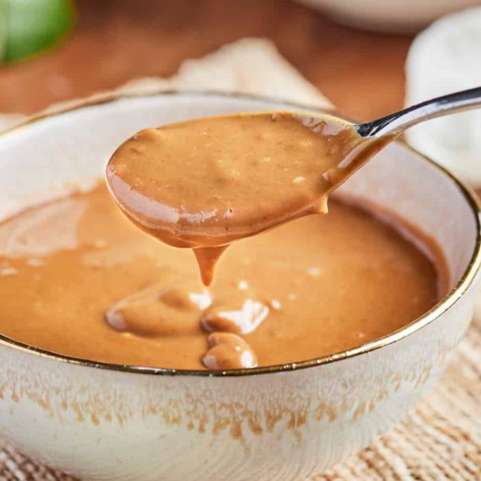 Satay Sauce 沙爹汁