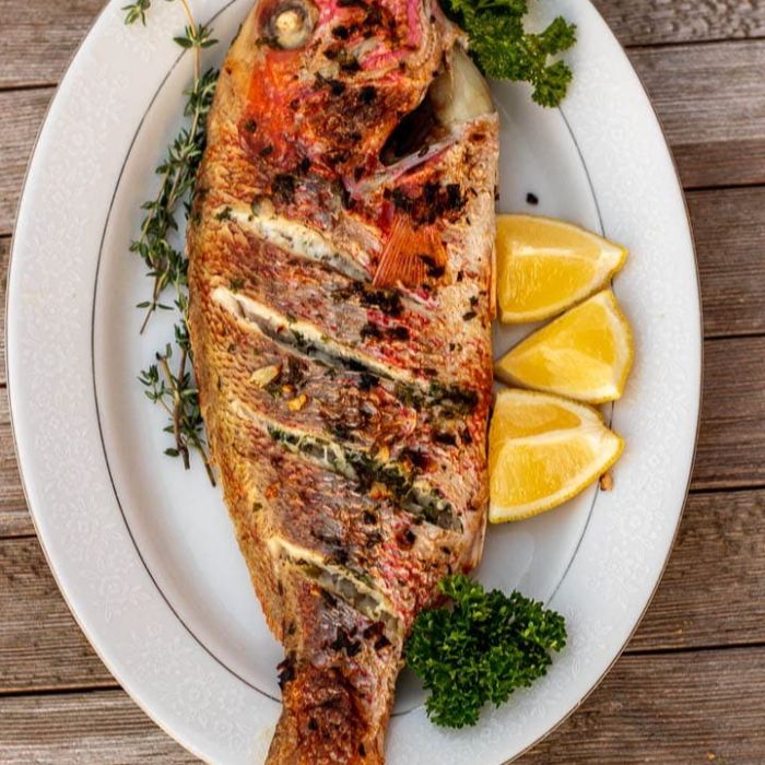 Snapper