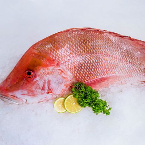 Fried Snapper