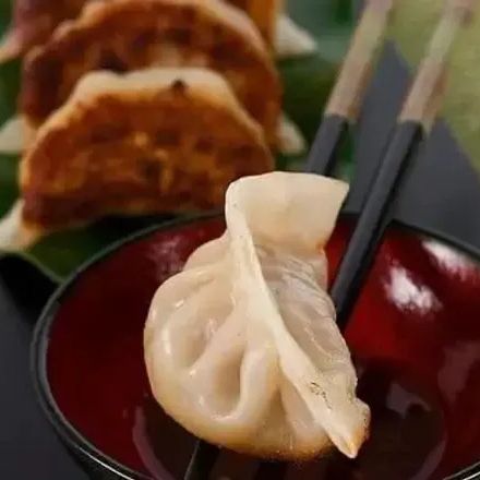 Panda Dumpling （熊猫饺子馆）