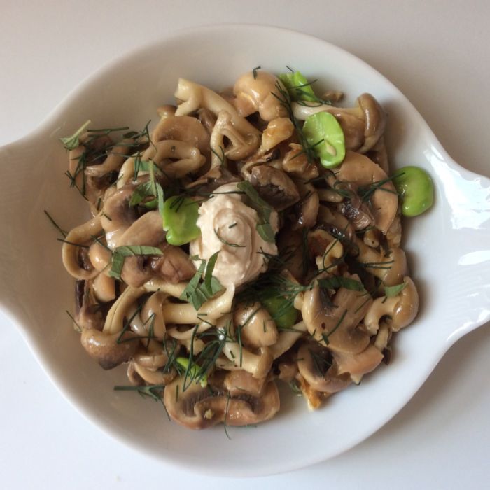 Woodland Mushroom (GF)